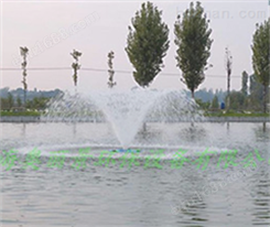 景观水处理喷泉式曝气机